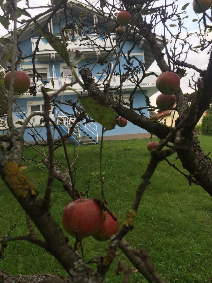 Pension Lipusch Sankt Veit im Jauntal Exteriör bild
